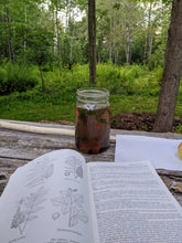 Load image into Gallery viewer, Aronia